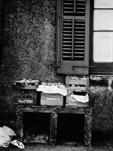 Image description is not available for 2010.090